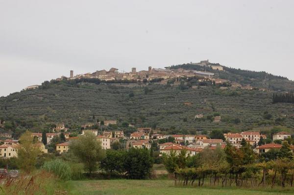 CORTONA