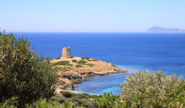 TORRE