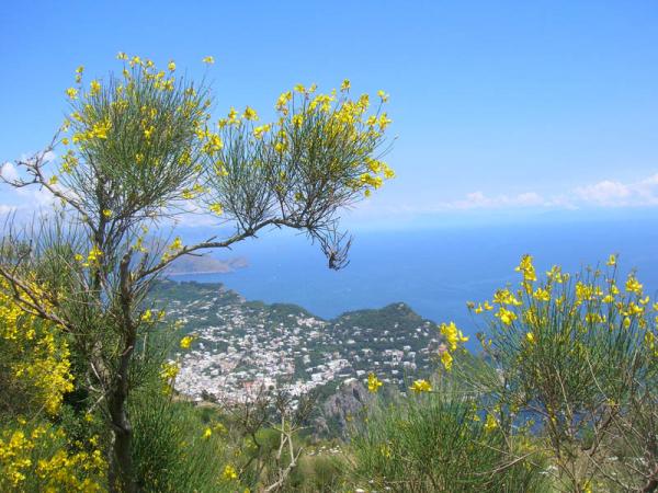 capri