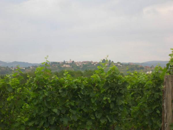 collio