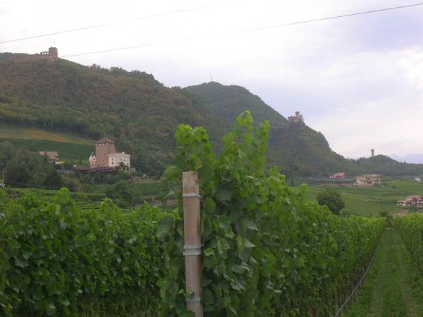 dscn7789