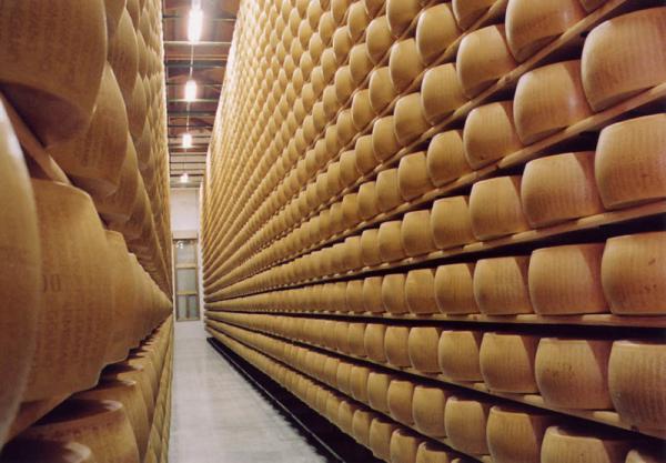 parmigiano