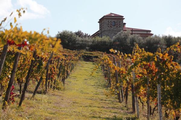 amalfi-coast-wines-day3