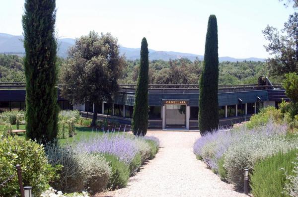 Argiano tour Ornellaia winery