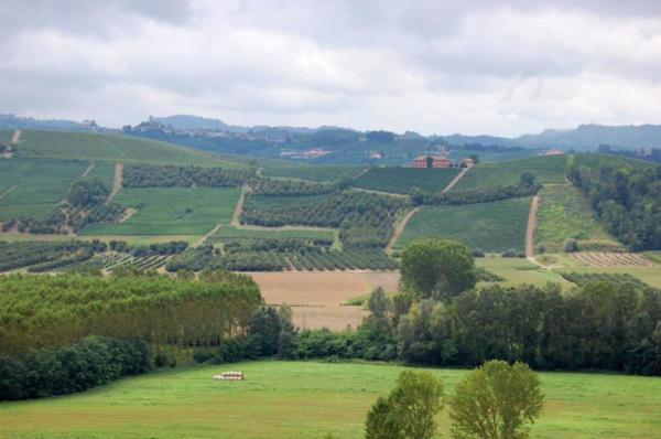 langhe